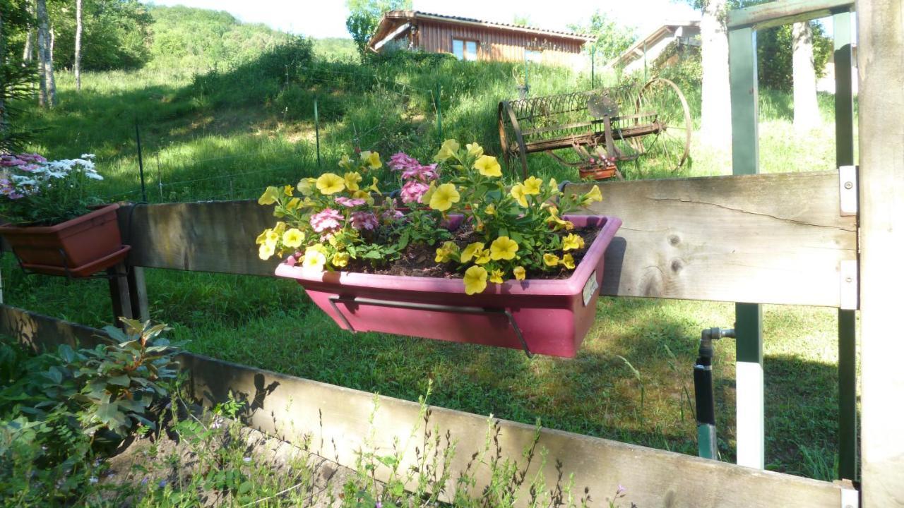 Gite La Lanterne Transition Ecologique Avec Borne De Recharge 7Kw Site Sous Video Protection Nalzen Dış mekan fotoğraf